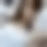 Chat met valentina22