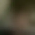 Discutir com zegmaar
